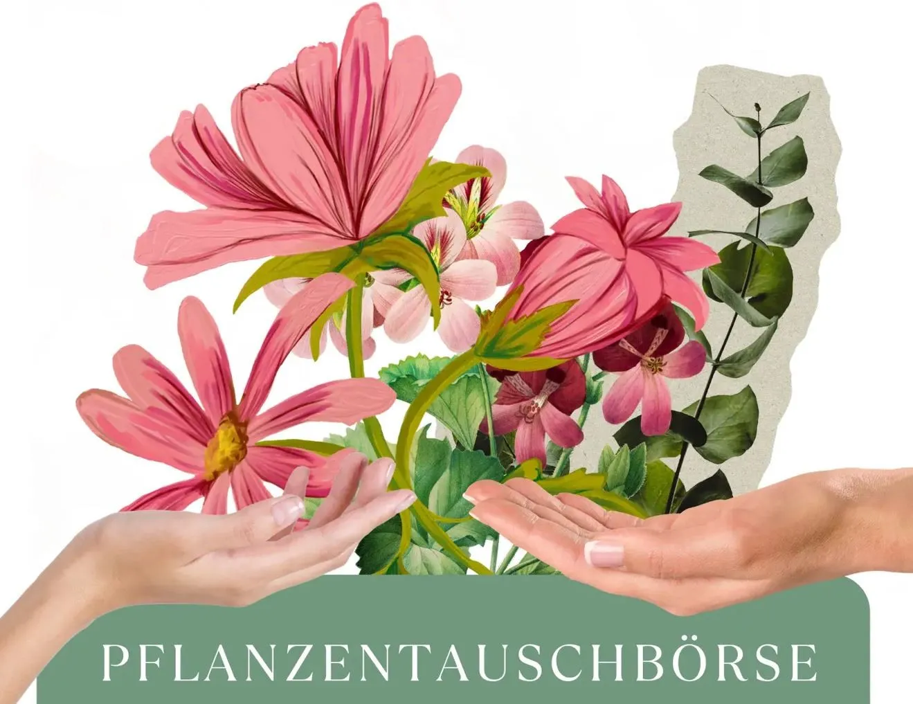 1. Pflanzentauschbörse in Raden